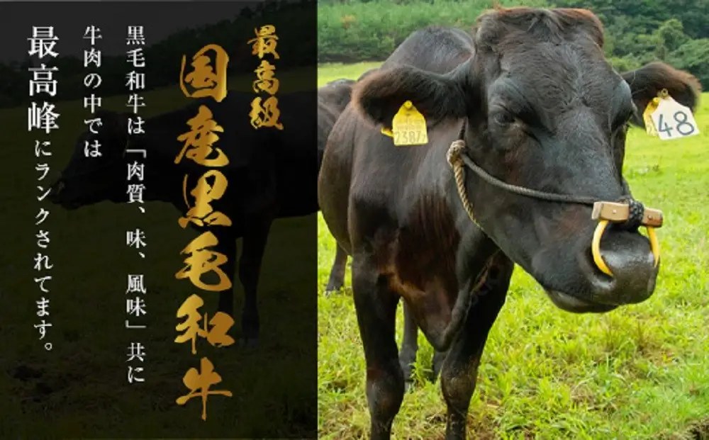 【種類・容量が選べる】国産黒毛和牛もつ鍋セット もつ鍋一藤 味噌味 醤油味 食べ比べ | 2‐8人前 モツ鍋 もつなべ 鍋 冷凍食品 取り寄せ もつ セット ホルモン鍋 味噌 みそ 醤油 しょうゆ 食べ比べ 国産 牛もつ 人気 福岡市