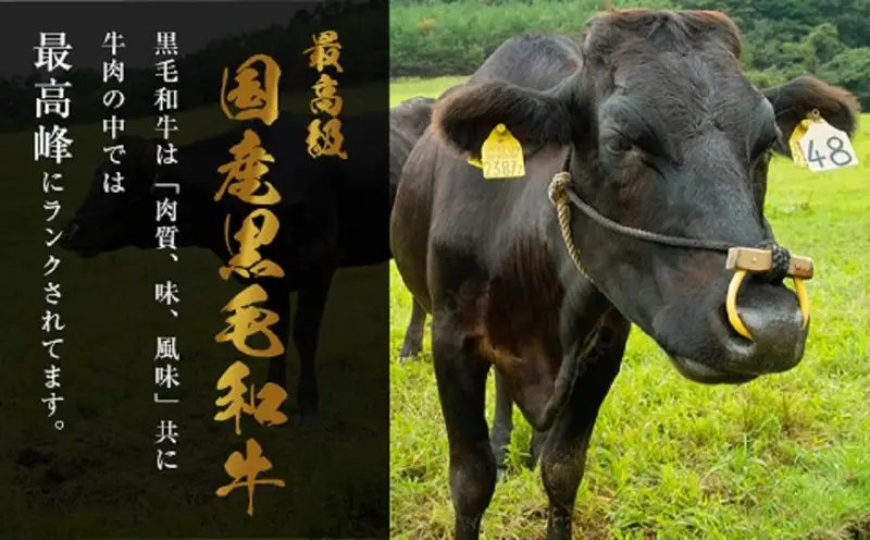 国産 黒毛和牛 もつ鍋 セット 醤油味 6人前 一藤 | ふるさと納税 モツ鍋 もつなべ 鍋 福岡市 冷凍 冷凍食品 取り寄せ もつ セット ホルモン鍋 醤油 国産 牛もつ 鍋セット 人気 ご当地グルメ 福岡県 送料無料