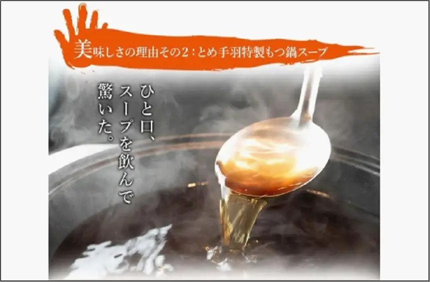 九州名物とめ手羽 博多もつ鍋セット 九州しょうゆ味 2-3人前【冷凍配送】 | 福岡県 福岡市 福岡 九州 納税 返礼品 返礼 お取り寄せグルメ 取り寄せ グルメ お取り寄せ 博多 もつ鍋 モツ鍋 もつなべ もつ鍋セット 鍋セット もつ モツ