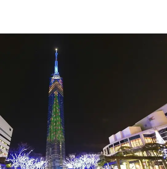 食事券 福岡市 天空ディナーコース 展望券付 2名様 福岡タワー内展望レストランにて優雅なひとときを ペアチケット ペア 絶景 夜景 レストラン ディナー 食事 お食事券 チケット 記念日 誕生日 お祝い 女子会 福岡 福岡県