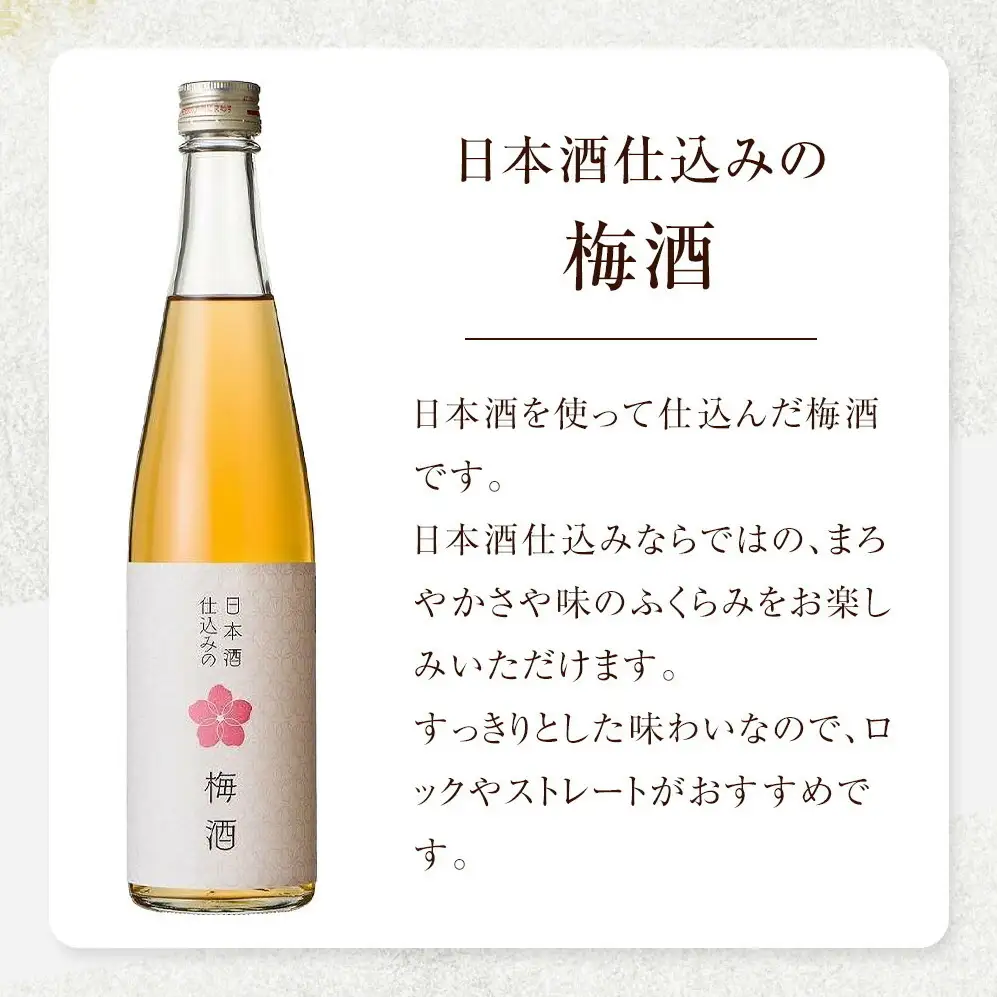 石蔵酒造 博多のお酒・梅酒・リキュールセット
