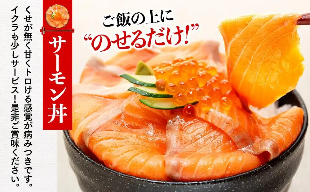福岡市グルメ糸島海鮮堂のサーモン丼3食セット | 福岡県 福岡市 福岡 九州 返礼品 お取り寄せグルメ 取り寄せ グルメ 食品 お取り寄せ 魚介類 魚介 海産物 海の幸 水産 サーモン 鮭 シャケ しゃけ サケ さけ 海鮮