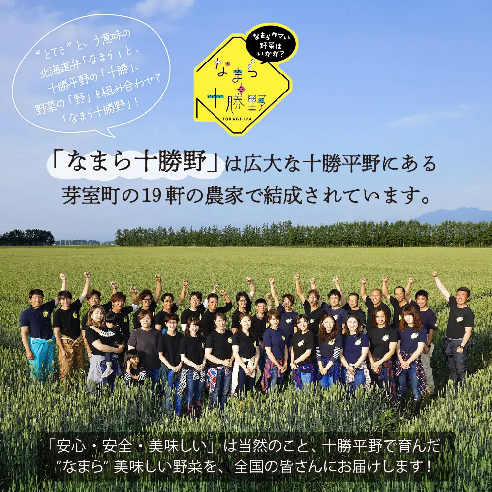 【先行受付】【2026年10月より配送】北海道十勝芽室町 なまら十勝野の季節のおまかせ野菜セット（秋）野菜 やさい おまかせ 詰め合わせ 詰合せ   me001-004c