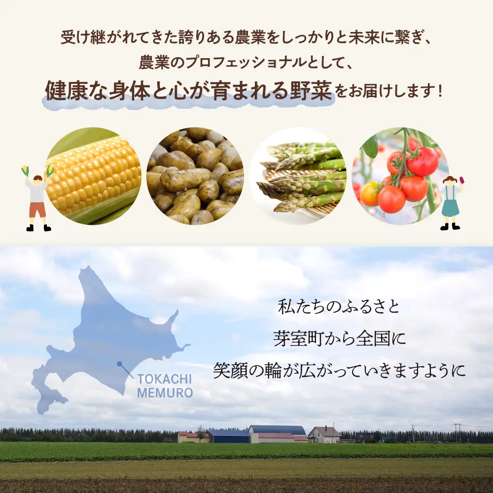 【先行受付】【2026年8月より発送】北海道十勝芽室町 なまら十勝野の季節のおまかせ野菜セット（夏） me001-009c 詰合せ 旬 食品 グルメ 送料無料 冷蔵発送 北海道 十勝 芽室町