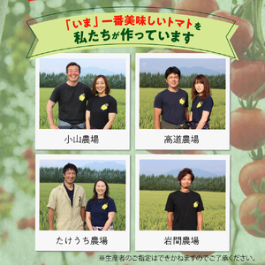 【先行受付】【2026年8月上旬より発送】なまら十勝野の 旬 の 完熟 トマト を3~4品種 詰め合わせた 食べ比べ セット 野菜  北海道産 贈り物 お取り寄せ とまと カラートマト おまかせ アイコ ミックス もぎたて リコピン 新鮮 朝採れ 産地直送 北海道 十勝 芽室町me001-013c