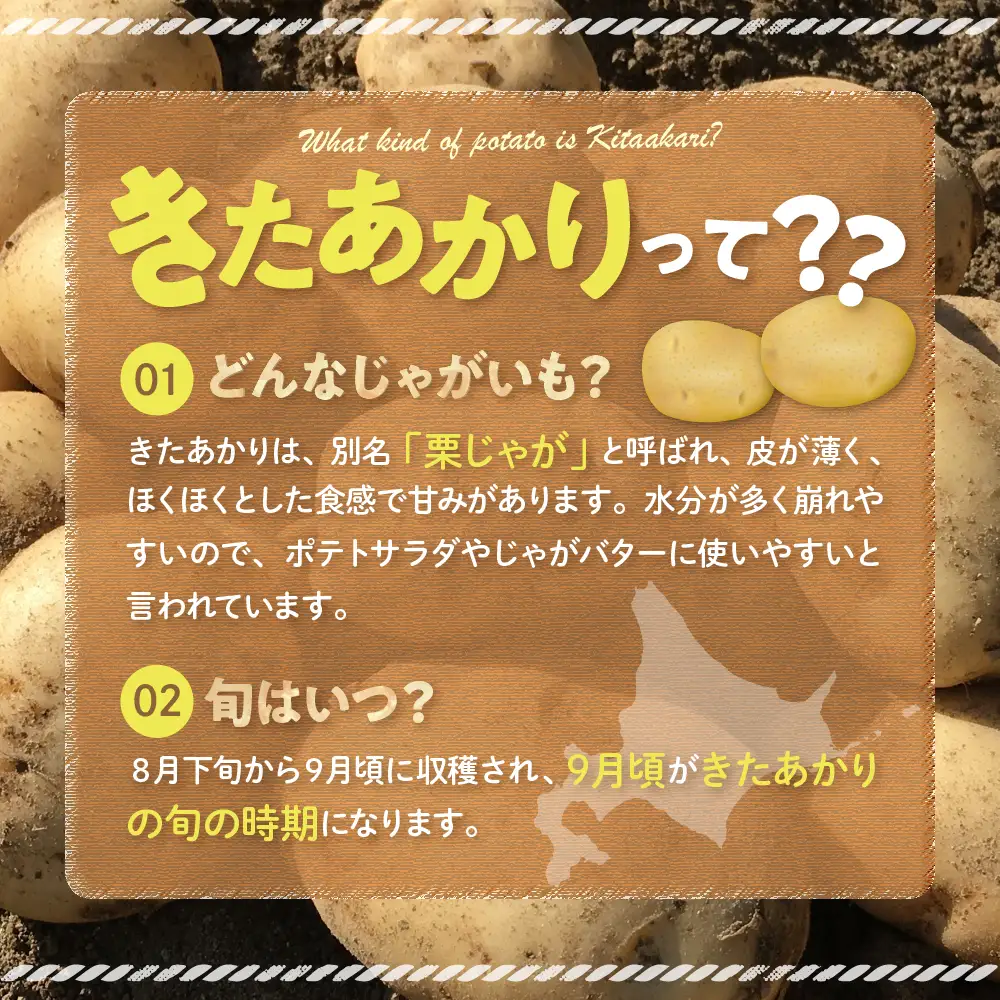 【先行受付】【2026年9月下旬より配送予定】北海道十勝芽室町 じゃがいも きたあかり 5kg ジャガイモ ポテト 芋 いも おいも フライドポテト コロッケ ポテトサラダ じゃがバター 産地直送 新鮮 農協 チーズ 美味しさに 訳あり me002-003-26c