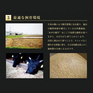 あがの姫牛 肩ロースしゃぶしゃぶ用 500g 牛肉 赤身肉 柔らか 上質 メス牛 雌牛 国産 ブランド牛 冷凍 化粧箱入 のし 贈答  贈り物 ギフト プレゼント お中元 お歳暮 父の日 母の日 敬老の日 すき焼き  じゃぶじゃぶ 新鮮 新潟県 阿賀野市 1D08017