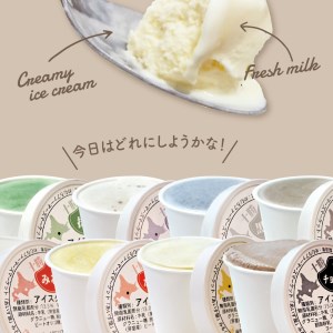 カップ アイスクリーム 95ml × 12 種 セット みるく 山わさび かぼちゃ とうもろこし 黒豆きなこ あずき 抹茶 黒ごま チョコア（チョコ ココア） チョコヒー（チョコ コーヒー）ラムレーズン ヨーグルト 牛乳 スイーツ 詰め合わせ 北海道 十勝 芽室町me008-002c