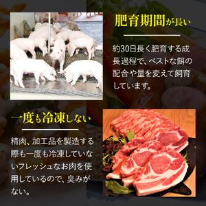 究極の黄金比！安心・無添加ハンバーグ5個セット ／Adf-B14 豚肉 豚肉 豚肉 豚肉 豚肉 豚肉