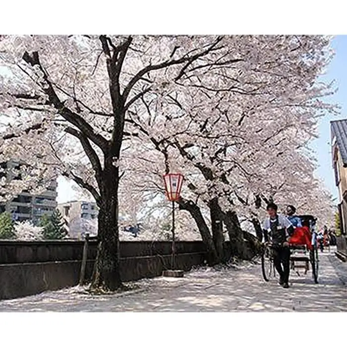 【贅沢！人力車を１日貸切】金沢の加賀百万石の移動を俥夫がご案内！（ガイド付き）