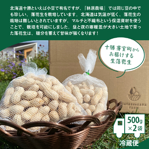 【2026年出荷分】北海道十勝芽室町 生落花生 茹で用 郷の香 1kg ( 500g ×2袋 ) さとのか 大粒 落花生 らっかせい 生らっかせい 生 豆 ピーナッツ ナッツ おやつ おつまみ つまみ おかず 冷蔵 予約 先行受付 秋 旬 国産 北海道十勝芽室町 me028-003c-26