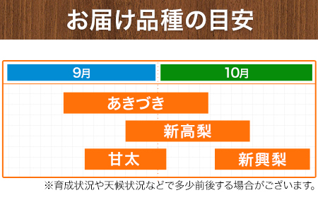 【先行予約】旬の梨 約5kg 梨