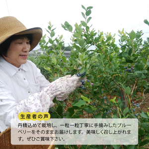 【叶え屋】 上毛町産 ブルーベリー 生果実 500g×2パック_K01401