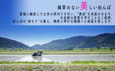 【6ヶ月連続】令和8年産福井県若狭町コシヒカリ（一等米）5kg（山心ファーム） お米 福井県産 甘い