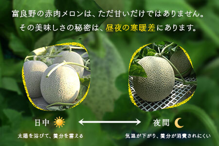 【2026年発送】【秀品】富良野メロン2玉（約1.6kg×2玉）【JAふらの】【AC-017】