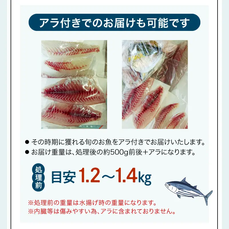 S121-003A_刺身コース