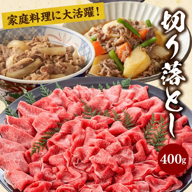 牛肉 カルビ焼肉 牛肉[宮崎牛 切り落とし セット 800g]