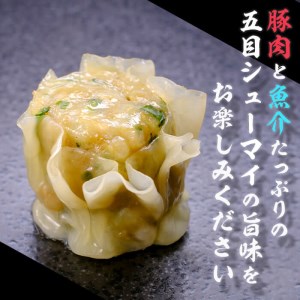 鹿児島県志布志産黒豚使用 南国熊曽黒豚五目シュウマイ 計20個(10個x2パック) a0-333