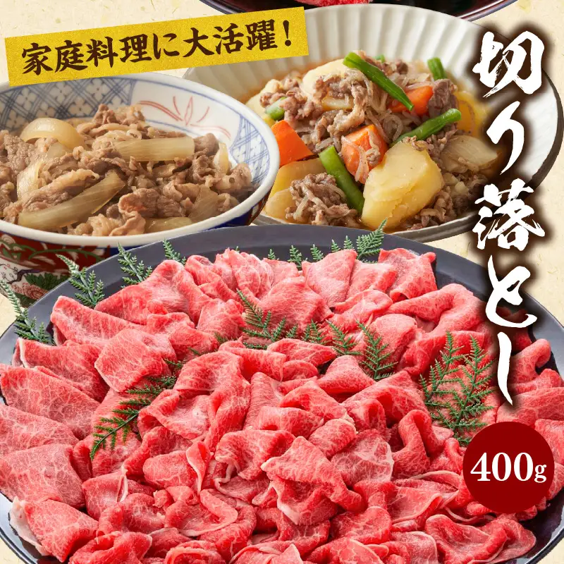 牛肉 モモスライス・切り落とし 牛肉[宮崎牛 セット 800g]
