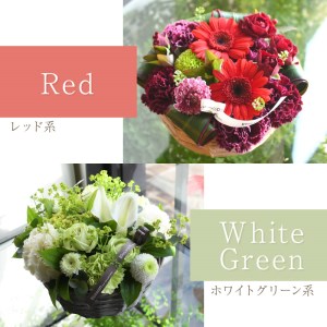 【フラワーアレンジメント】パリスタイルアレンジメント(Sサイズ)【5色カラバリ展開】【2402U03802】