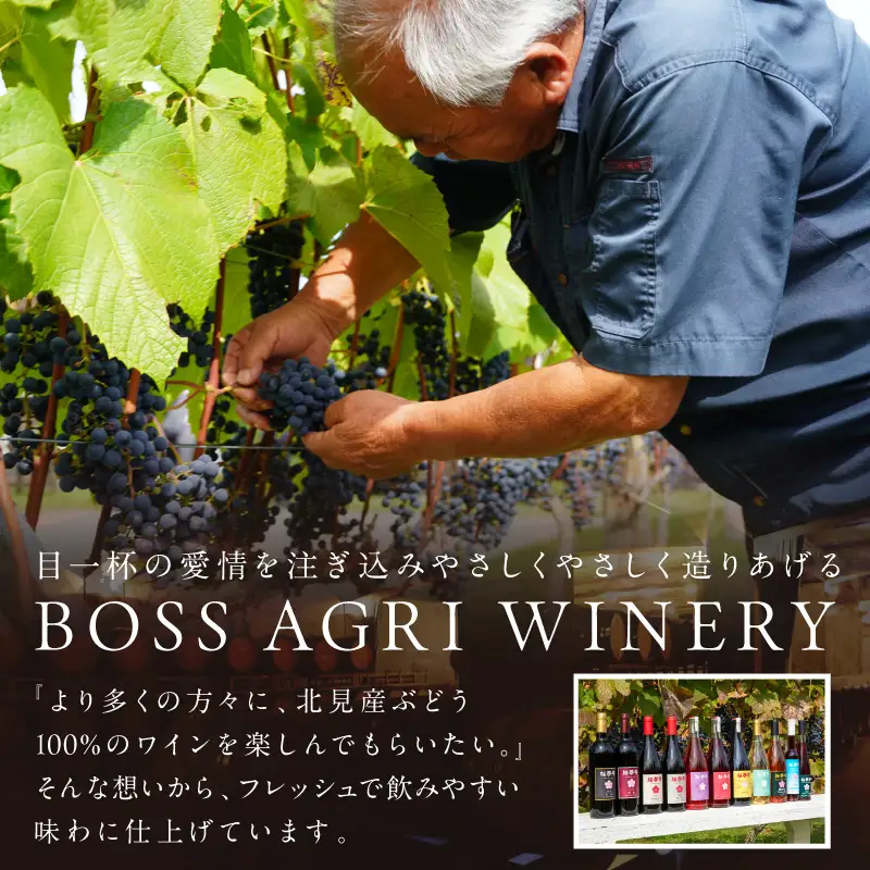 北見産ぶどう100％のワイン 桜夢雫 ( 緋色ロゼ ワイン 国産 ブドウ ロゼ 辛口 750ml )【075-0009】