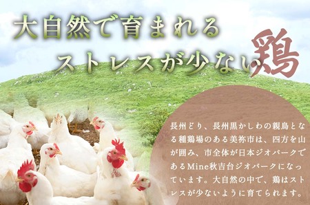 長州どり もも 切り身 合計1.8kg (300g×6パック)｜ 長州 鶏 鶏肉 もも 肉 にく とり 切り身 ハーブ 大容量パック 小分け 唐揚げ 焼き鳥 特産品 美祢市 山口県 美祢 秋吉台 1.8kg