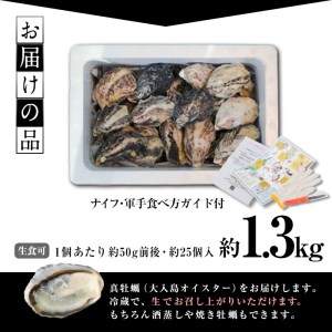 真ガキ 大入島オイスター (約1.3kg) 牡蠣 かき カキ 貝 海鮮 魚介類 冷蔵 生食可 シングルシード 養殖 大分県 佐伯市【ED08】【(合)新栄丸】