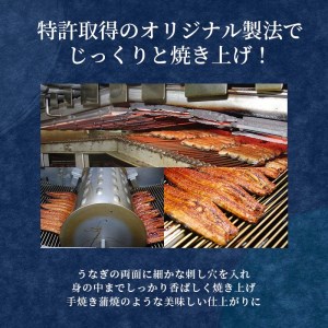 【定期便 6ヶ月】うなぎ 蒲焼 5尾 国産 うなぎ