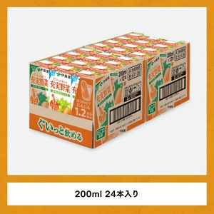 【6ヶ月定期便】伊藤園 充実野菜 緑黄色野菜ミックス（紙パック） 200ml×24本 【 全6回 飲料類 野菜ジュース 野菜 ジュース ミックスジュース 飲みもの】