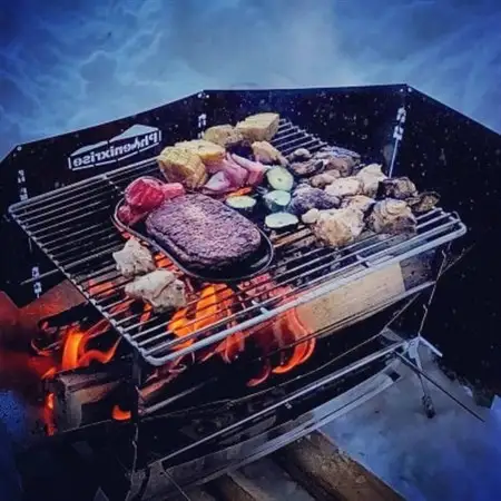 [TBN02]フェニックスライズの焼き網「TB焼き網(全網タイプ)」【配送不可地域：離島・沖縄県】【1301010】