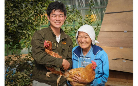 【12回定期便】平飼いで のびのび！ばあちゃんの昔たまご 40個/月 割れ保証あり 999-B612