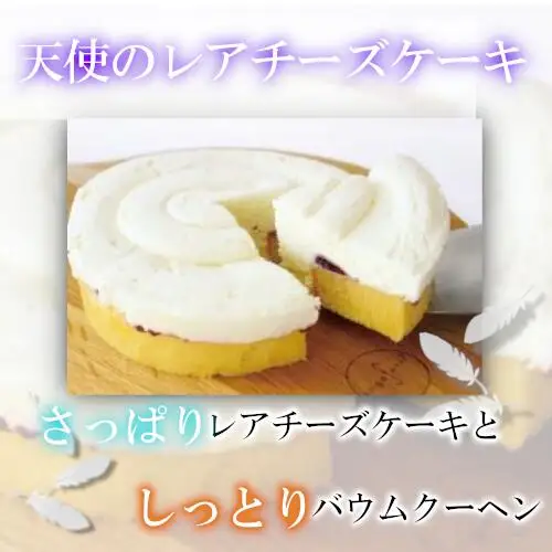 濃厚チーズケーキ　2種食べ比べセット　【11218-0461】