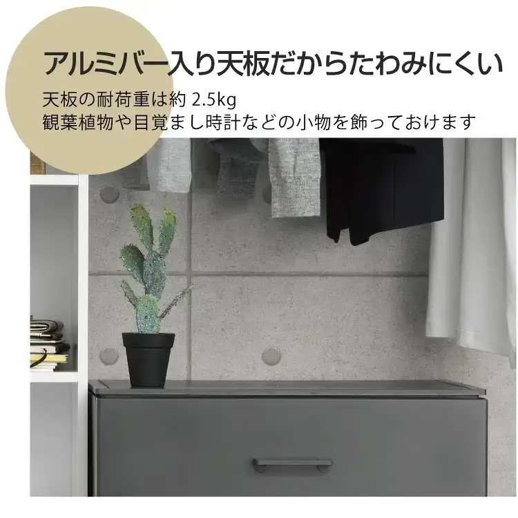 ホコリが入りにくい LCチェスト 4段 ライトグレー 壁付チェスト 組立式 収納 プラスチック  新生活