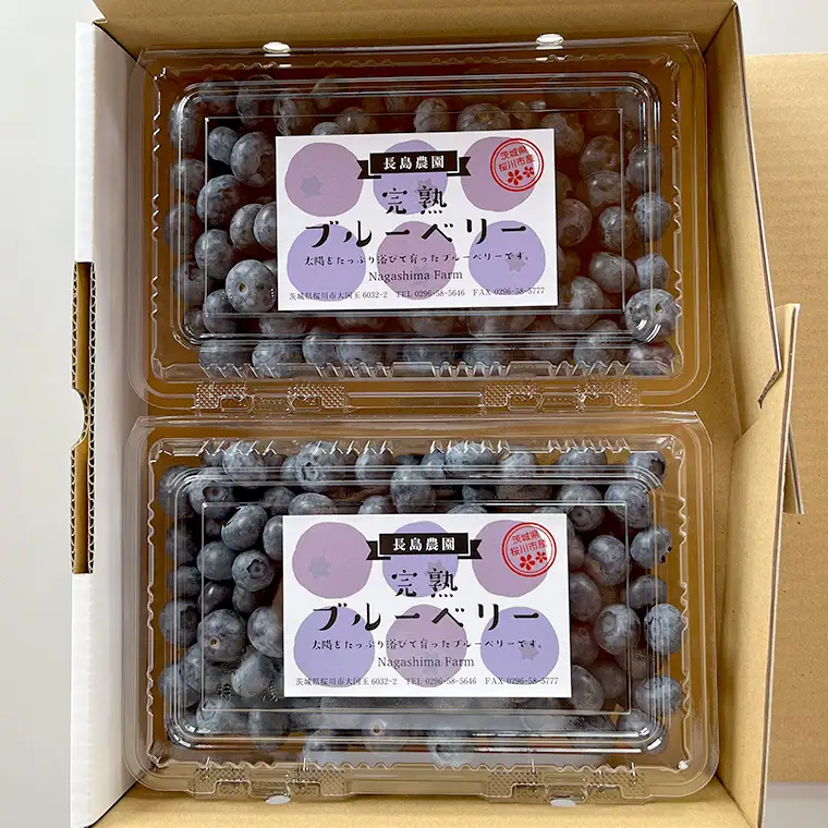 ブルーベリー 800g ( 400g × 2パック ) 【2026年6月から発送開始】 国産 茨城県産 ベリー フルーツ 果物 くだもの 自家製栽培[AK003sa]
