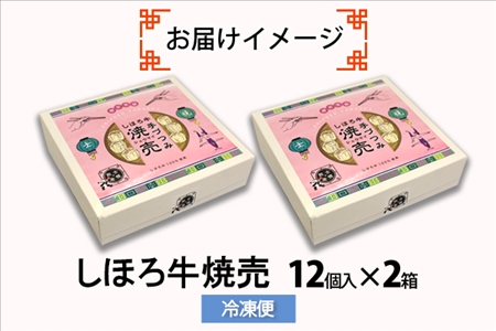 北海道 しほろ牛 焼売 2箱 セット 計24個入 牛肉 国産牛 肉 ビーフ しゅうまい シュウマイ 飲茶 点心 中華 簡単調理 中華料理 冷凍 おかず お弁当 惣菜 おつまみ グルメ 冷凍 お取り寄せ 送料無料 十勝 士幌町【L31】