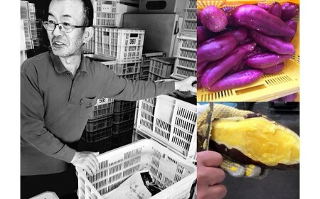 『月へ鳴門へ』～FRENCH★MONSTAR～　　スイーツ　洋菓子　鳴門金時　サブレ　　お土産　お菓子
