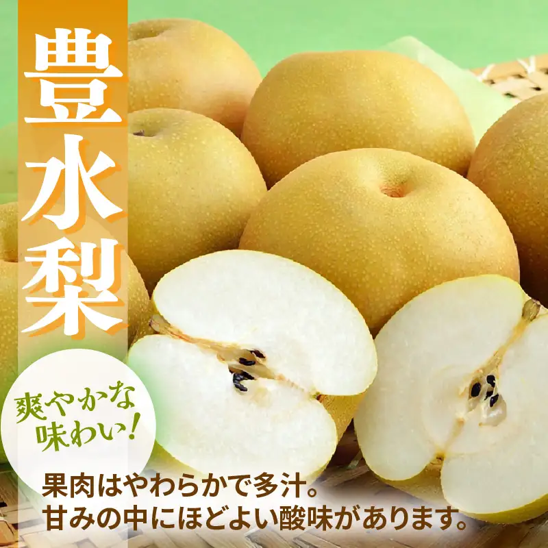 【先行予約】福井梨 3kg 6～8玉入 《幸水梨 豊水梨どちらかのお届け！》 ／ 期間限定 果物 フルーツ 産地直送 旬 お取り寄せ ※2026年8月下旬以降発送 [aw003-a009]
