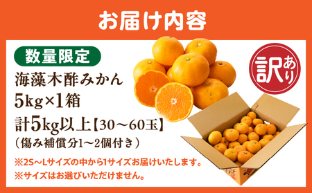訳あり 数量限定 海藻木酢みかん 計5kg以上 傷み補償分入り フルーツ 果物 _A94-25