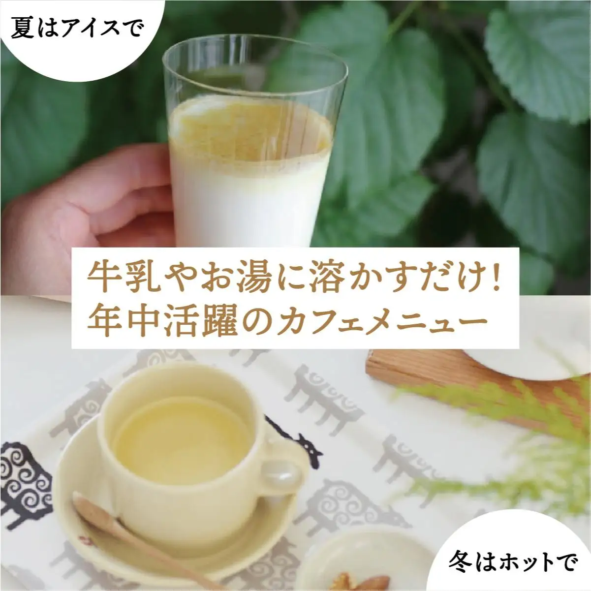 ゴールデンラテ3個セット   