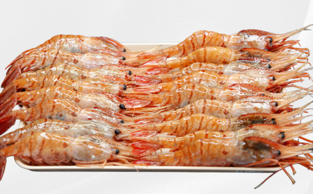 8-040-001　ジャンボボタンエビ 1kg（10～20尾）