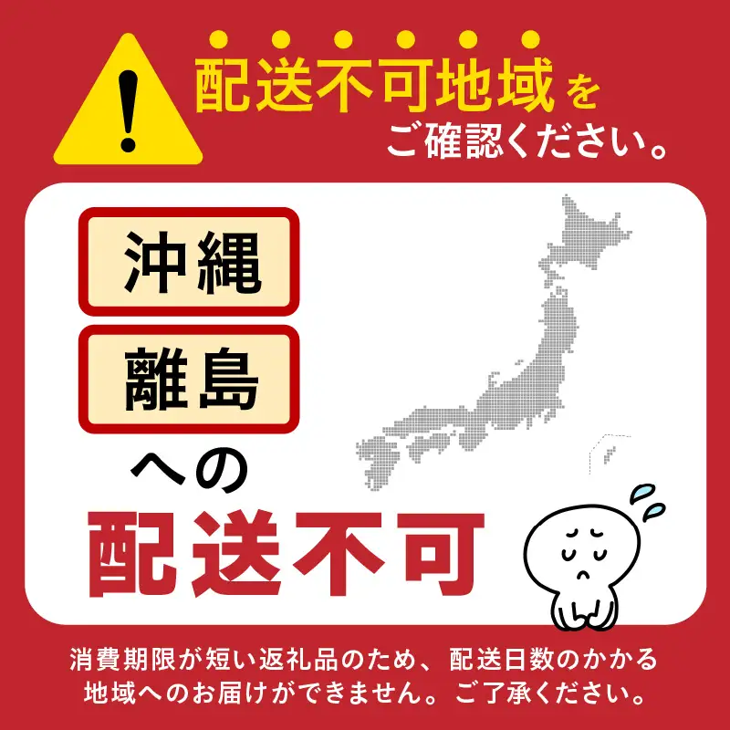 【先行予約】マルセイユメロン 2玉入 4L（1.3kg以上×2玉）高糖度で抜群に美味しい赤肉メロン ／ 果物 フルーツ 産地直送 ※2026年6月上旬以降発送 [aw067-a005]