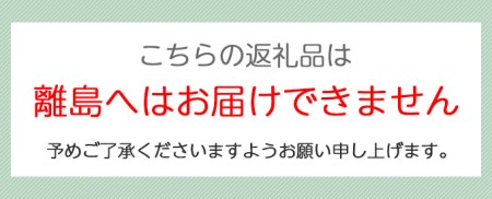 《明治43年創業》丸松100年伝承のそばつゆと挽きぐるみそばのセット (12人前) [0111]