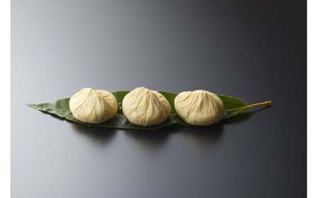 【10月お届け】 御菓子所 川上屋 栗きんとん （秋季限定）20個入り F4N-1701