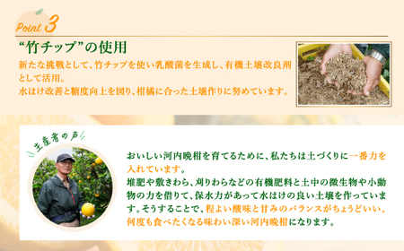 【先行予約】吉本農園の愛南ゴールド（河内晩柑）家庭用約3kg　＜柑橘 希少 果物 国産 フルーツ みかん 蜜柑  家庭用 和製 グレープフルーツ ブランド 果実 ビタミン 愛媛県 鬼北町＞ ※2026年4月上旬～8月上旬頃に順次発送予定