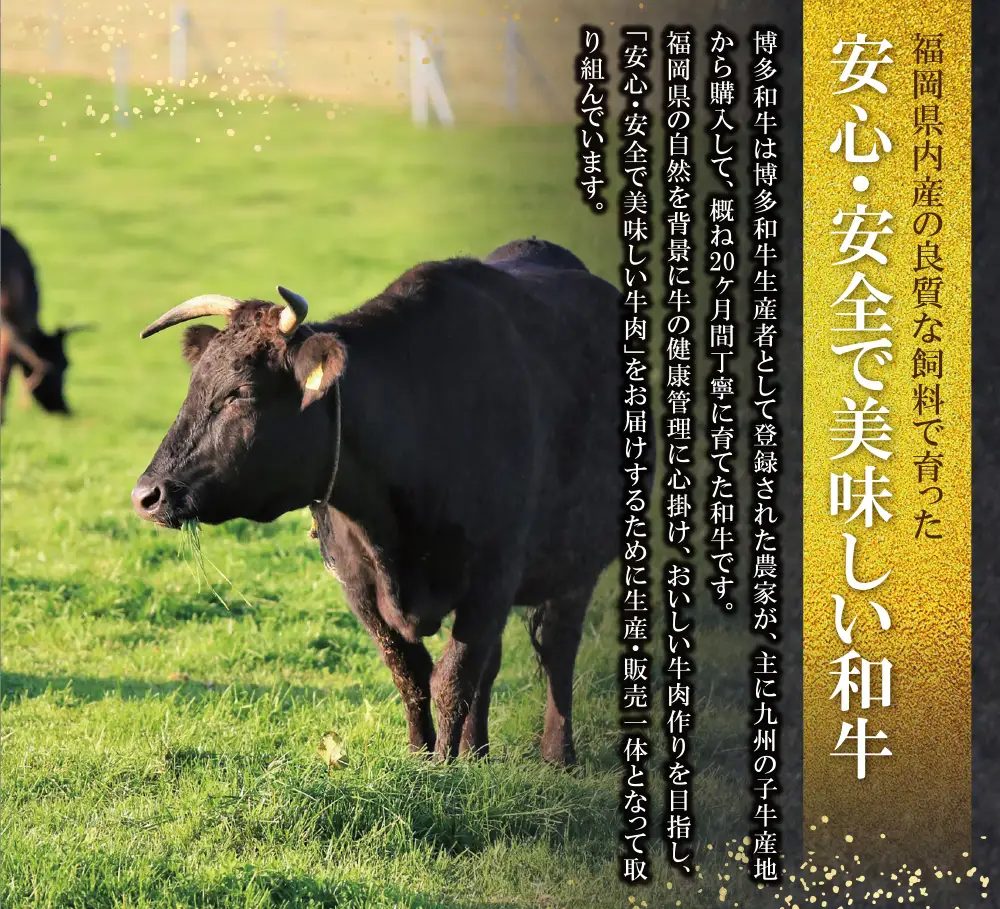 Z09-03 寄附額改定↓↓ 博多和牛 ロースサイコロステーキ用400g 牛肉