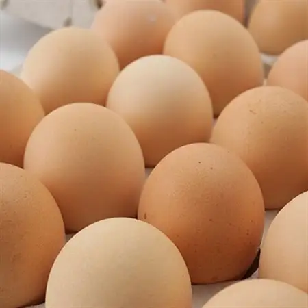 【北海道産】毎日食べたくなる平飼いたまご80個_卵・乳製品 卵  たまご タマゴ 玉子_【配送不可地域：離島】【1215861】