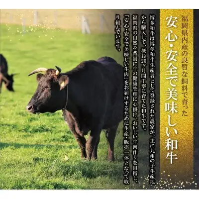 Y09-02 博多和牛 ローススライス400g 和牛