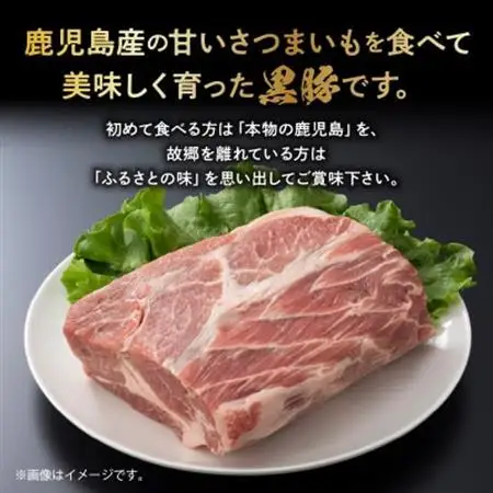 鹿児島黒豚肩ロースブロック まるごと塊のまま1.1~1.3kg 008-75【配送不可地域：離島】【1710442】