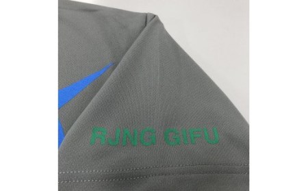 743 F-4EJ 301号機 Tシャツ（飛行開発実験団 明灰）