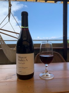 「甲府のワイナリー」山梨県産赤ワイン2本セット（K4）K04024-C